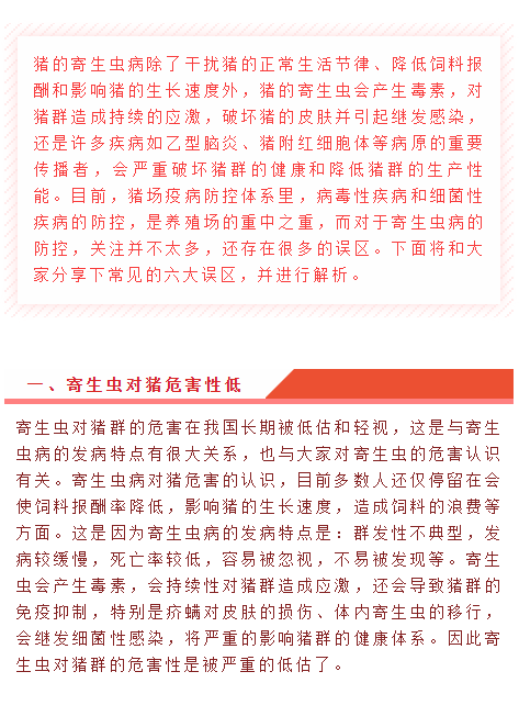 中国电子游艺网站下载安装
