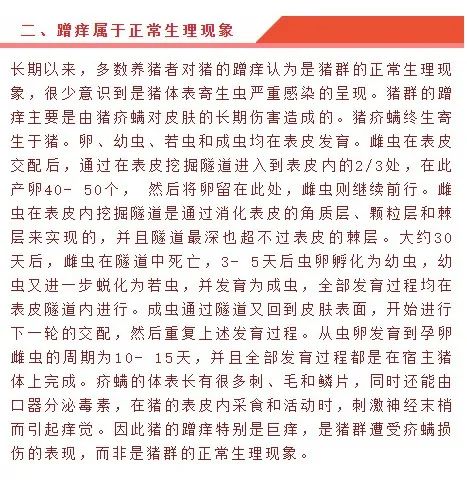 中国电子游艺网站下载安装
