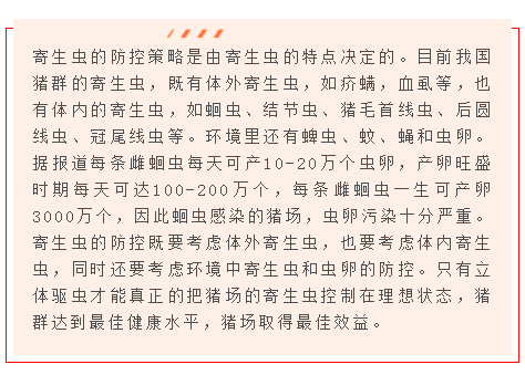 中国电子游艺网站下载安装

