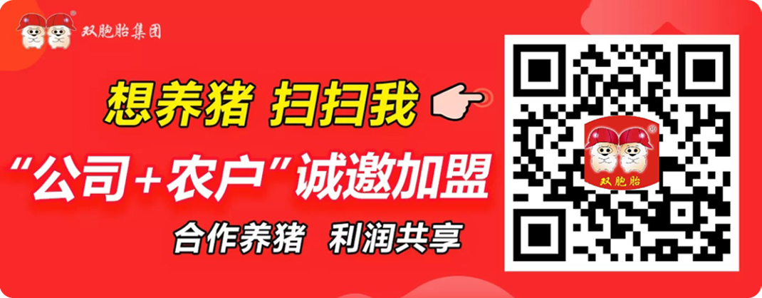 中国电子游艺网站下载安装