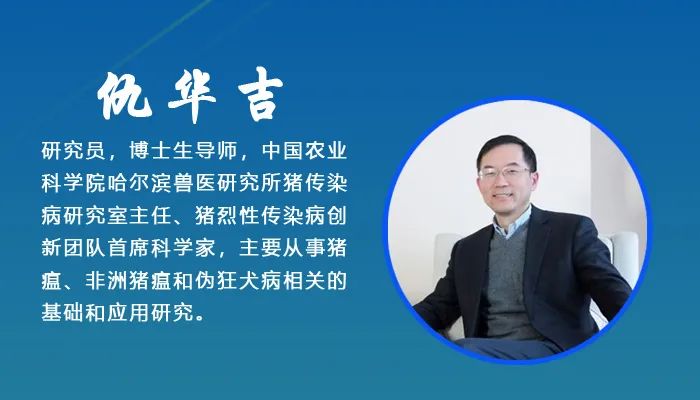 中国电子游艺网站下载安装