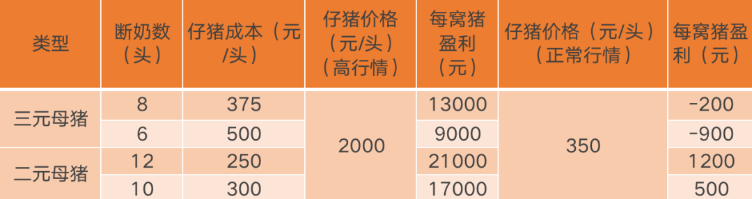 中国电子游艺网站下载安装
