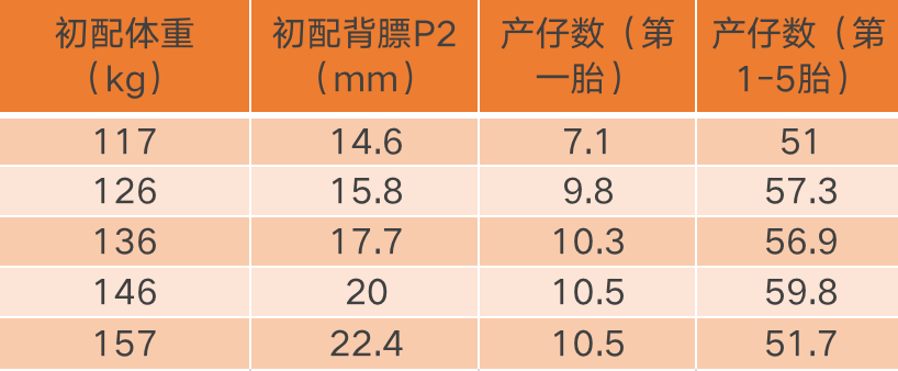 中国电子游艺网站下载安装
