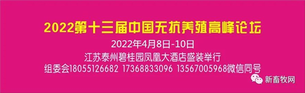 中国电子游艺网站下载安装
