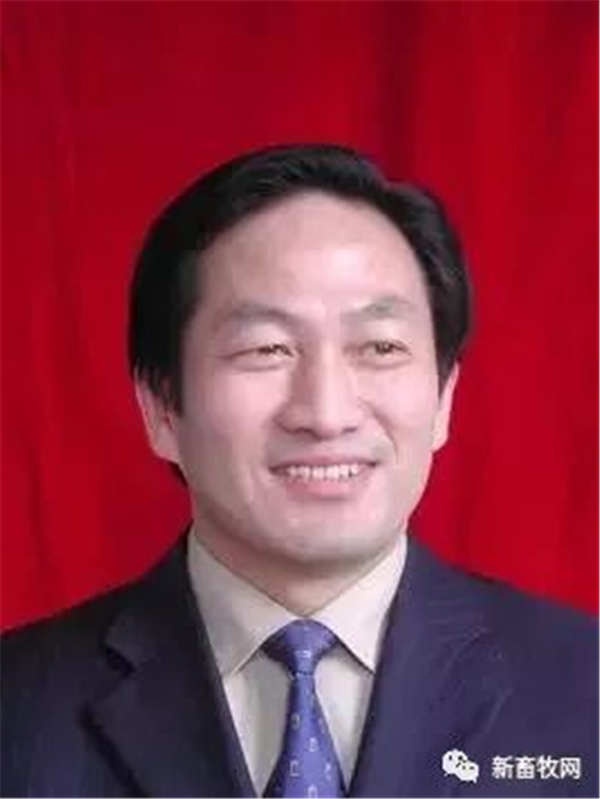 中国电子游艺网站下载安装
