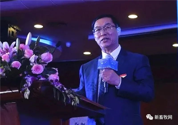 中国电子游艺网站下载安装
