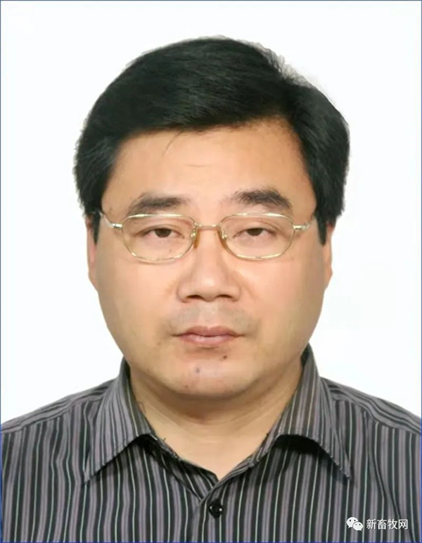 中国电子游艺网站下载安装
