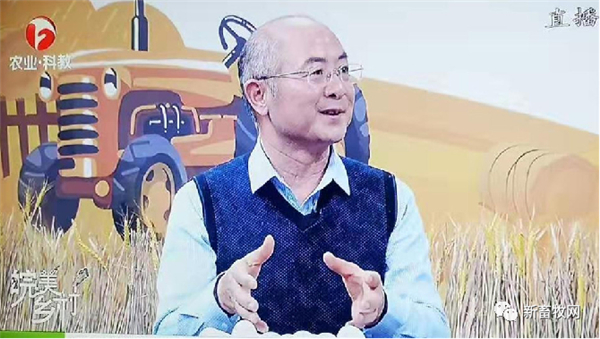 中国电子游艺网站下载安装
