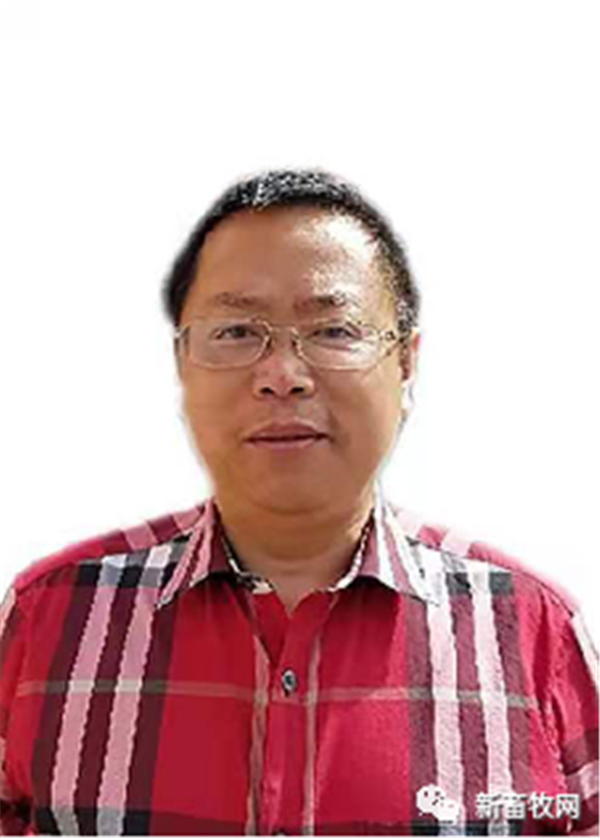 中国电子游艺网站下载安装
