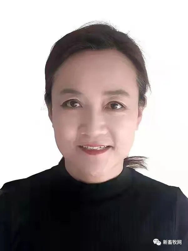 中国电子游艺网站下载安装
