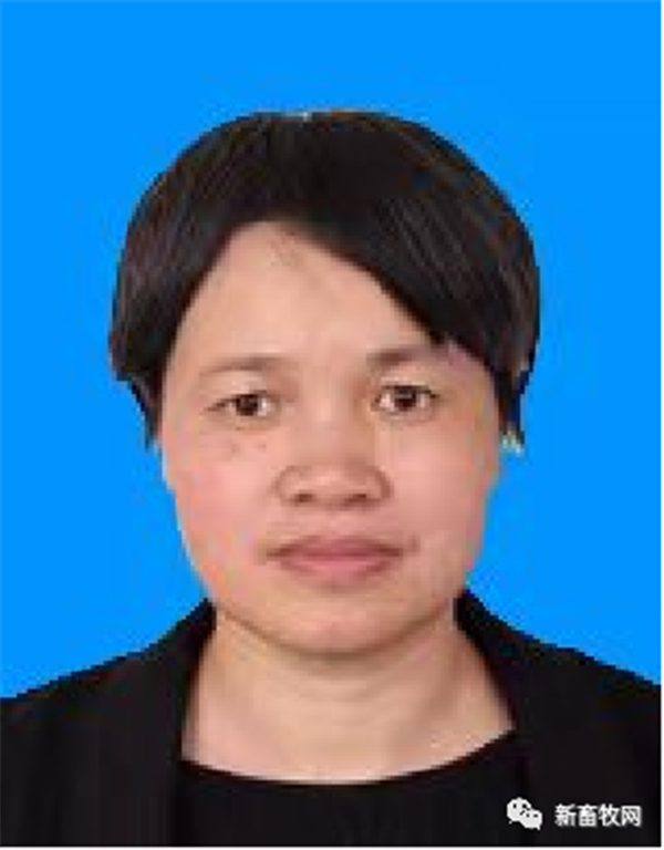 中国电子游艺网站下载安装
