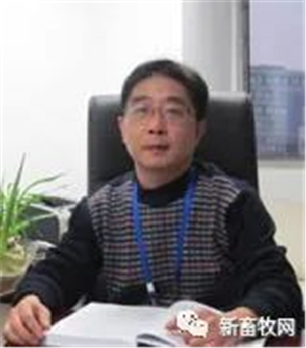 中国电子游艺网站下载安装
