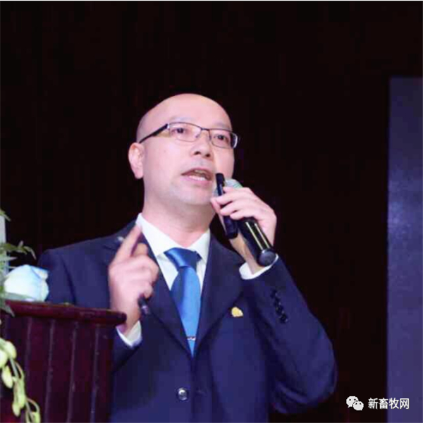 中国电子游艺网站下载安装
