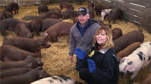 阿根廷：注定要成为主要的生猪出口国