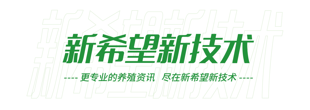 中国电子游艺网站下载安装
