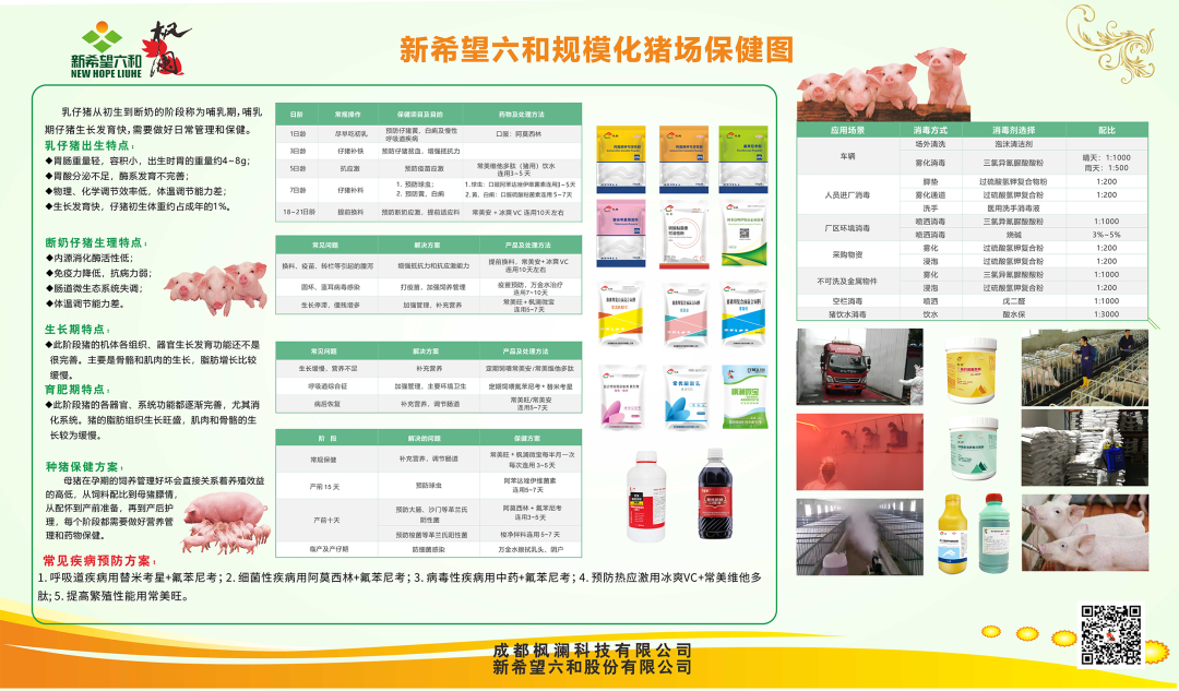 中国电子游艺网站下载安装