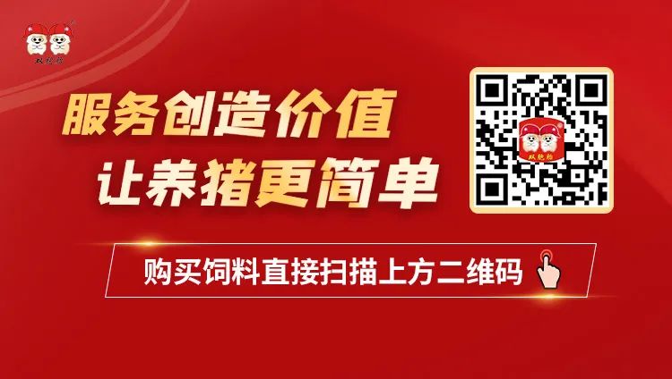 中国电子游艺网站下载安装
