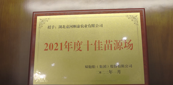 中国电子游艺网站下载安装
