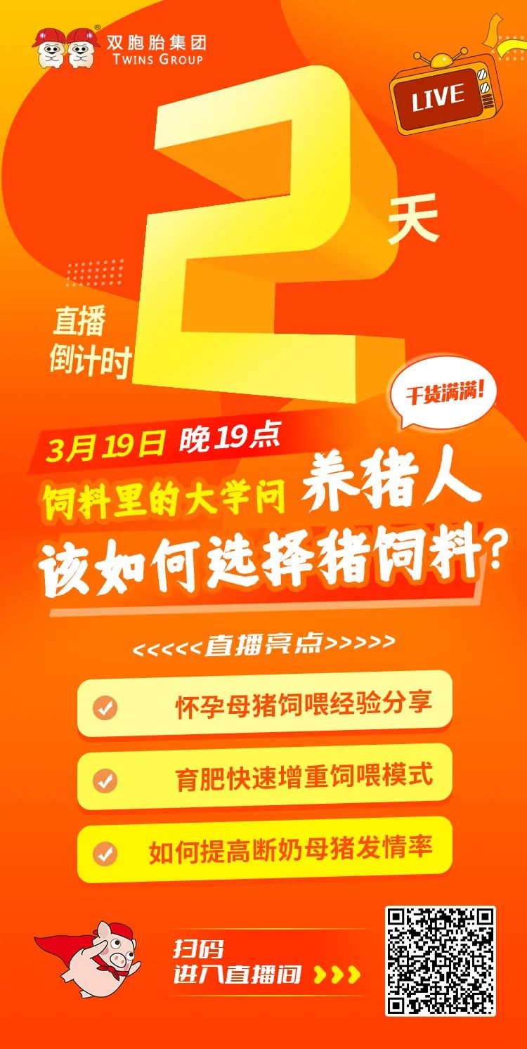 中国电子游艺网站下载安装
