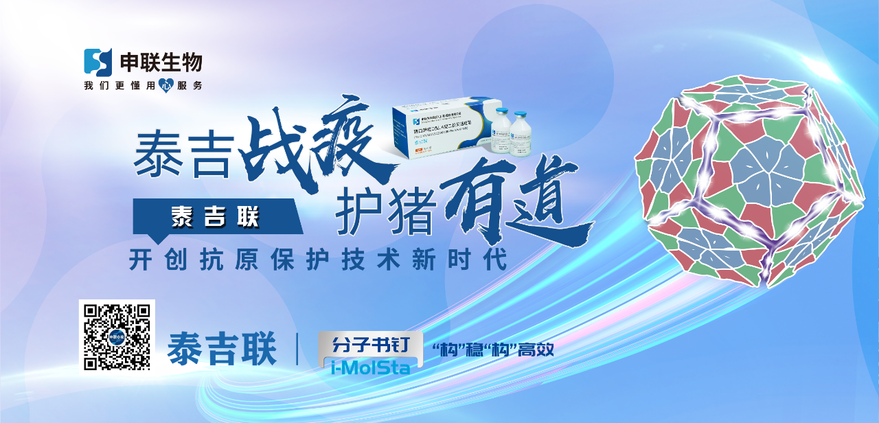 中国电子游艺网站下载安装
