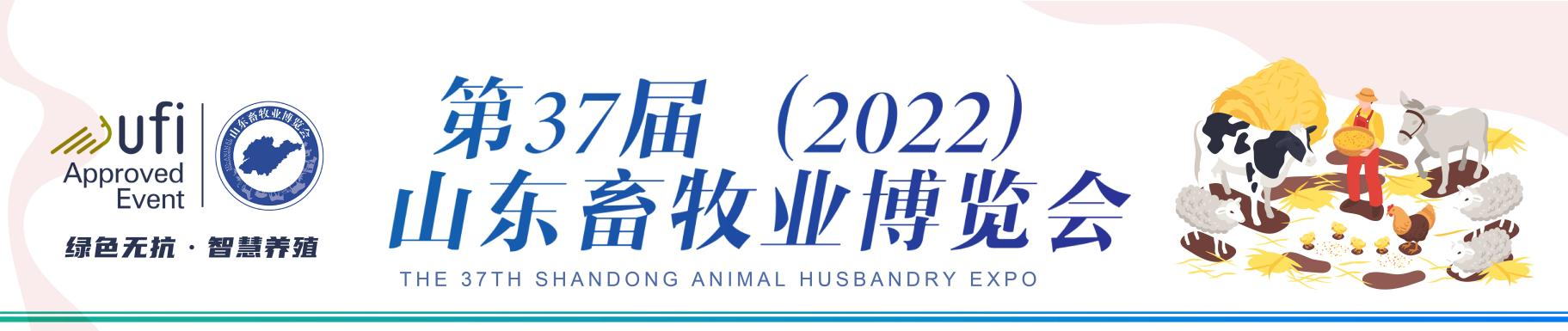 中国电子游艺网站下载安装
