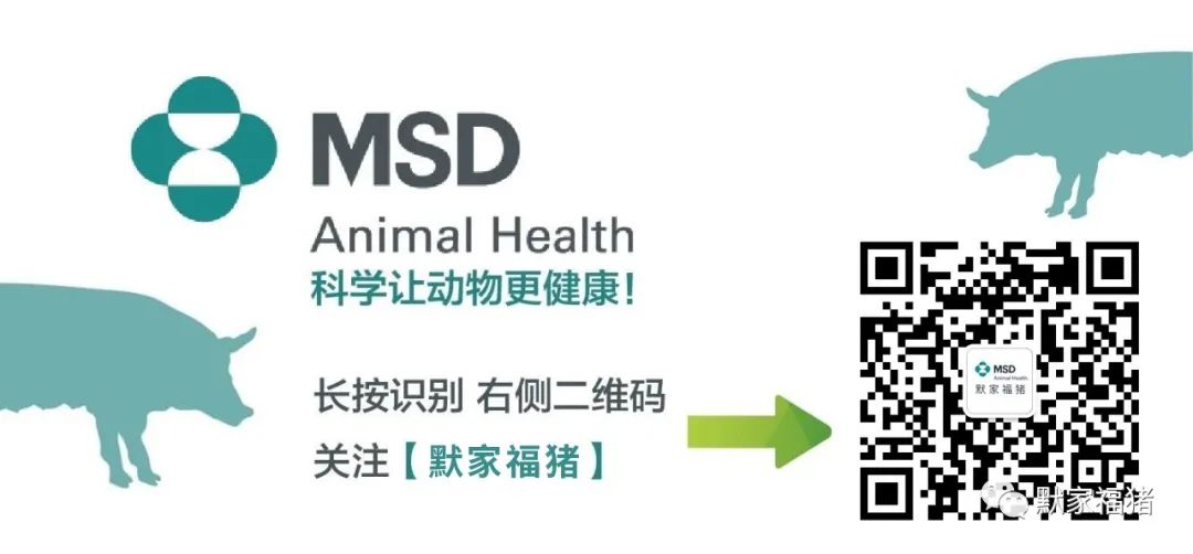 中国电子游艺网站下载安装
