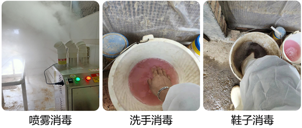 中国电子游艺网站下载安装
