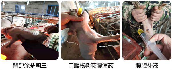 中国电子游艺网站下载安装
