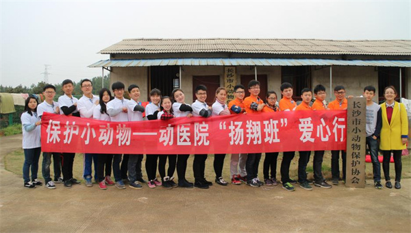 中国电子游艺网站下载安装
