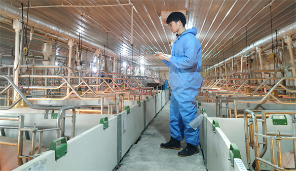 中国电子游艺网站下载安装
