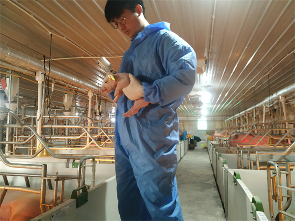 中国电子游艺网站下载安装
