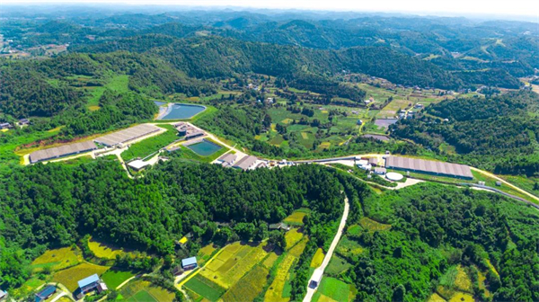 中国电子游艺网站下载安装