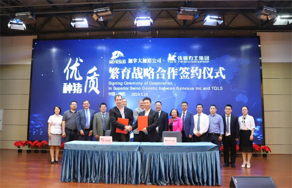 中国电子游艺网站下载安装
