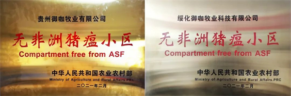 中国电子游艺网站下载安装
