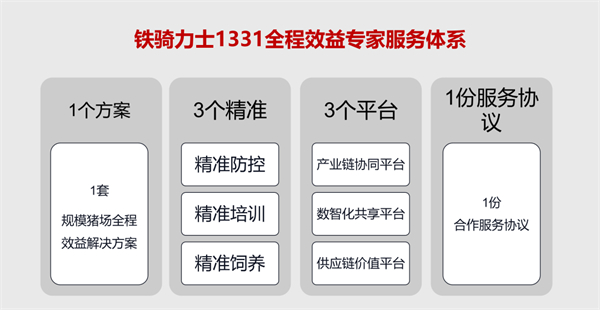 中国电子游艺网站下载安装
