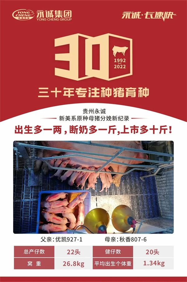 中国电子游艺网站下载安装
