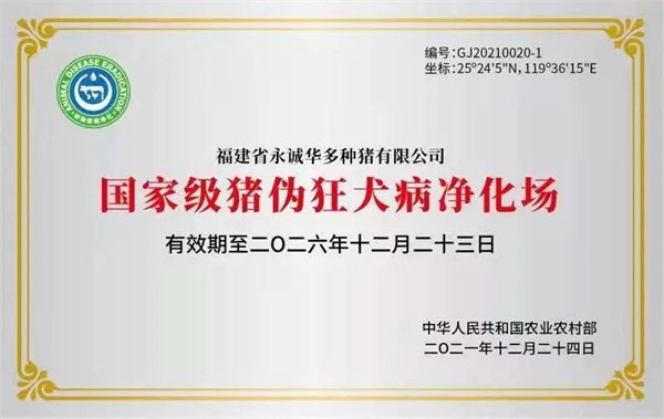 中国电子游艺网站下载安装
