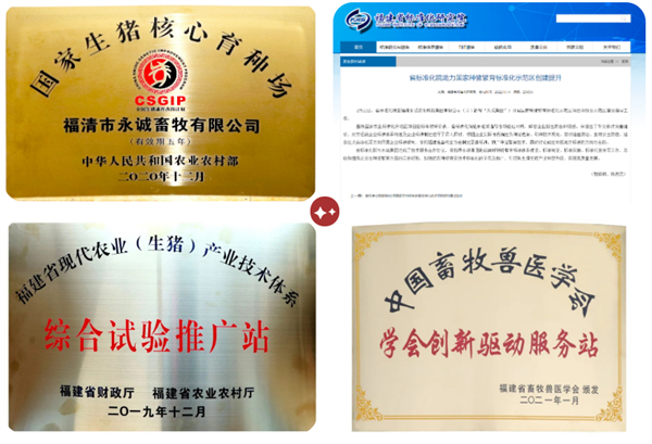 中国电子游艺网站下载安装
