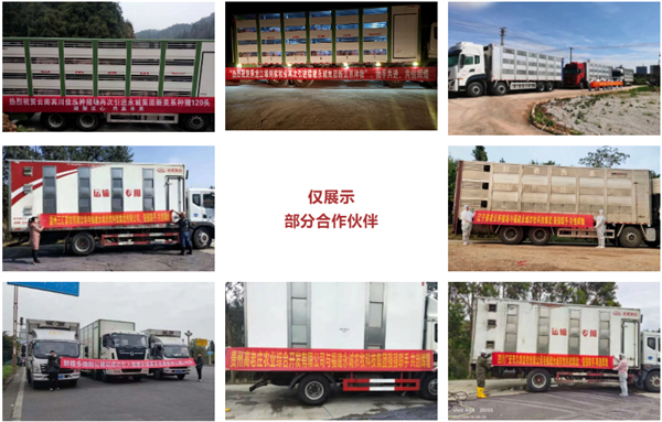 中国电子游艺网站下载安装
