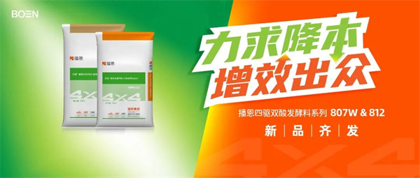 中国电子游艺网站下载安装

