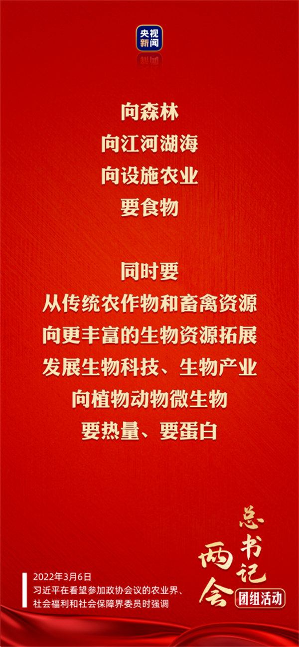 中国电子游艺网站下载安装
