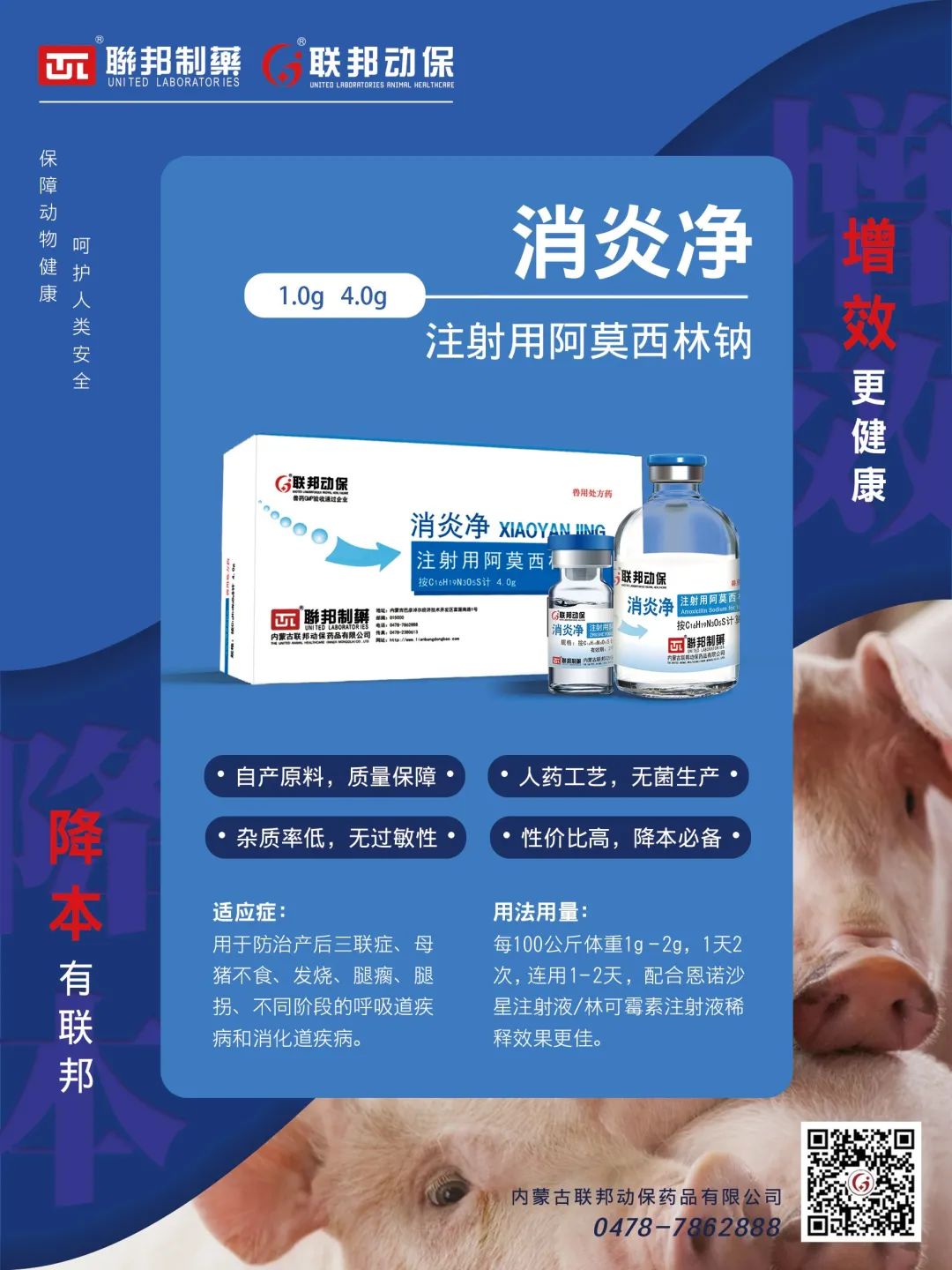 中国电子游艺网站下载安装
