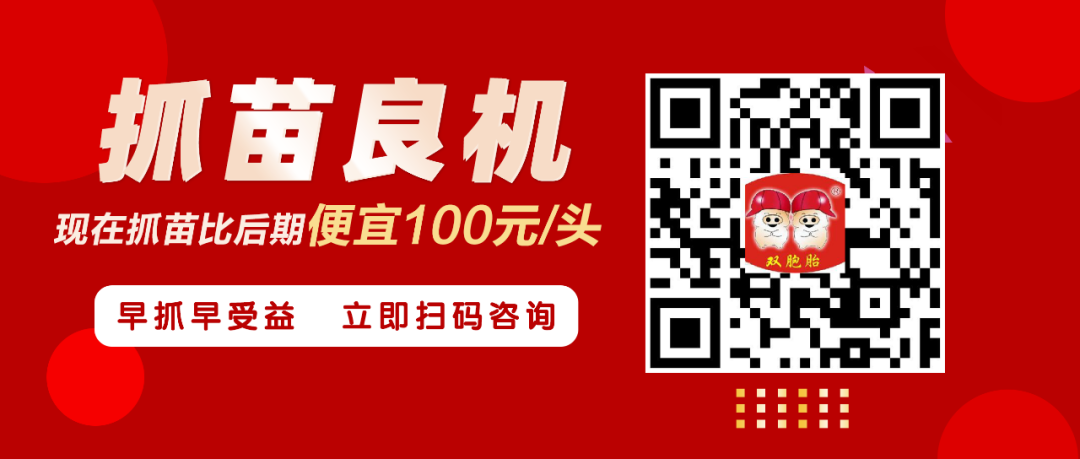中国电子游艺网站下载安装
