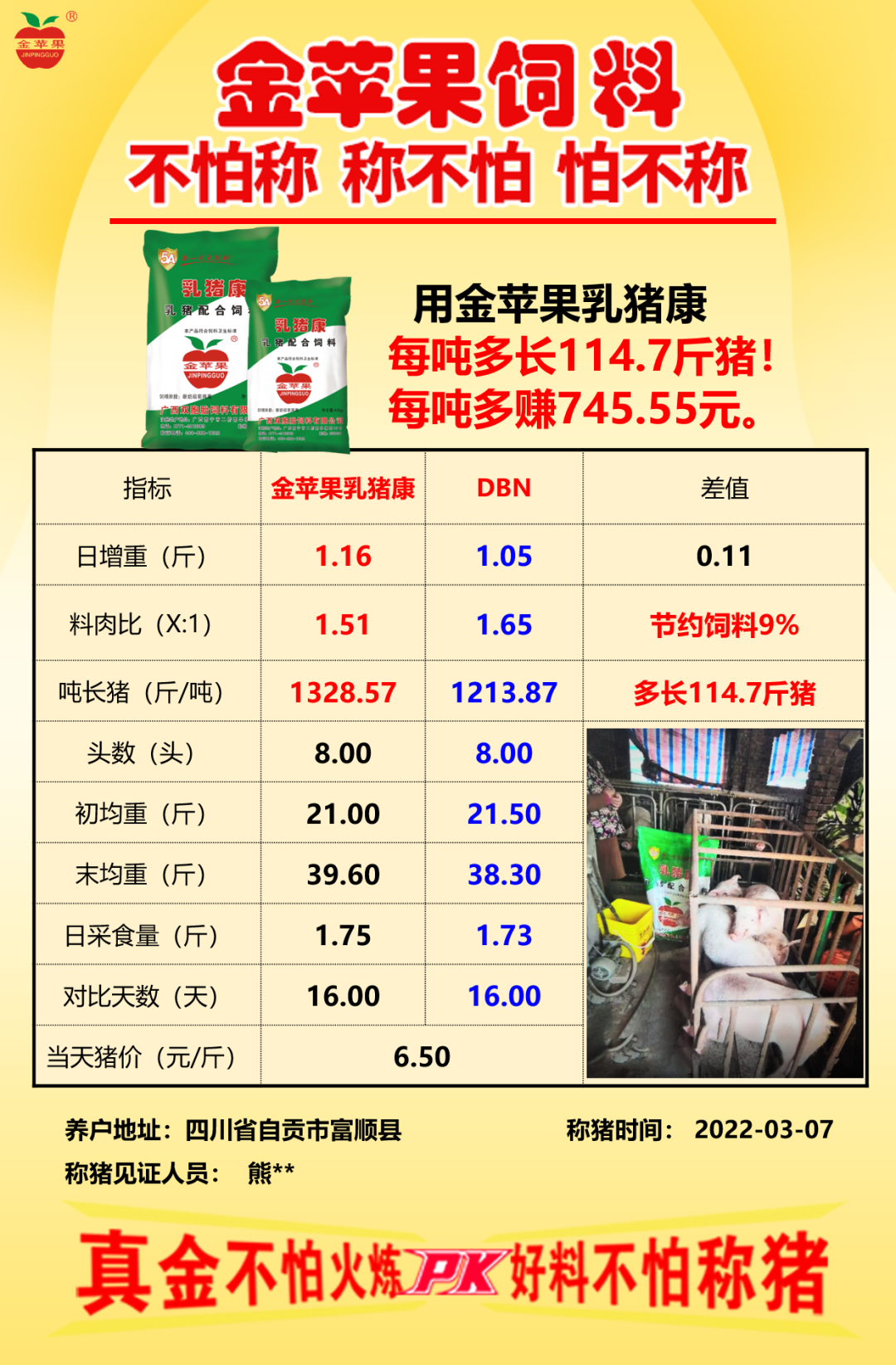 中国电子游艺网站下载安装
