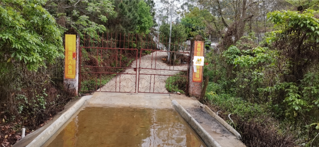 亏损超30万！620头规模电子游艺网站
何去何从？