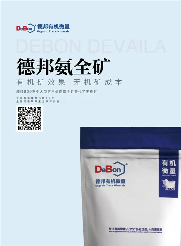 中国电子游艺网站下载安装
