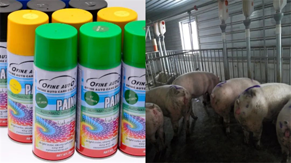 中国电子游艺网站下载安装
