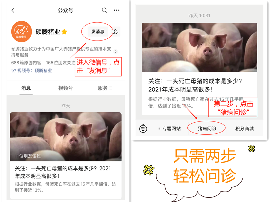 中国电子游艺网站下载安装
