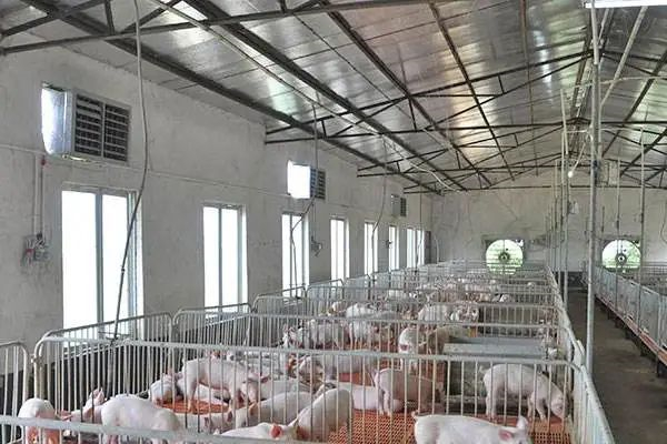 中国电子游艺网站下载安装
