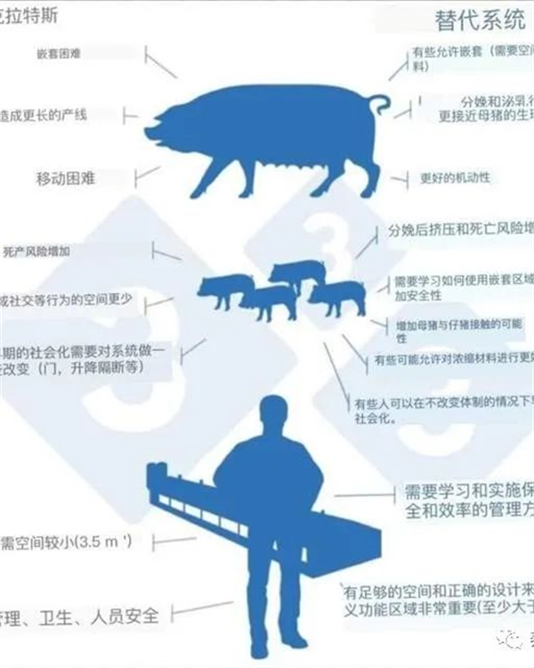 中国电子游艺网站下载安装